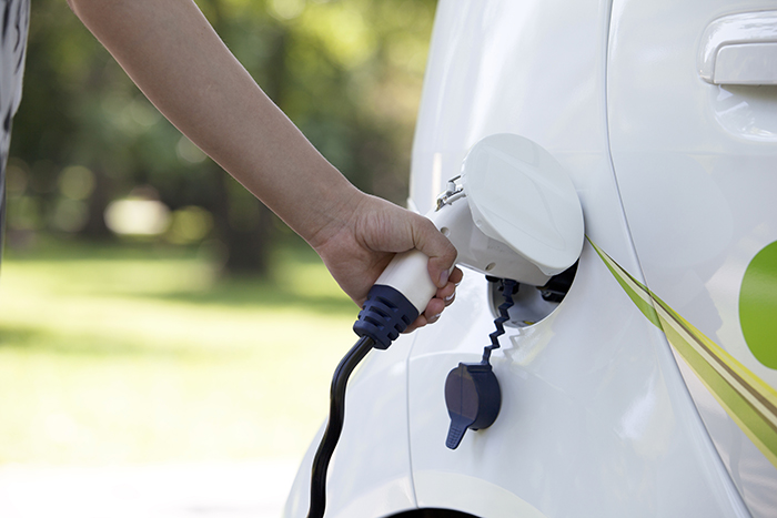 Jovenes y electricos