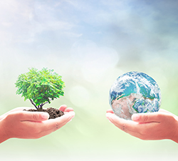 Día Mundial del Medio Ambiente